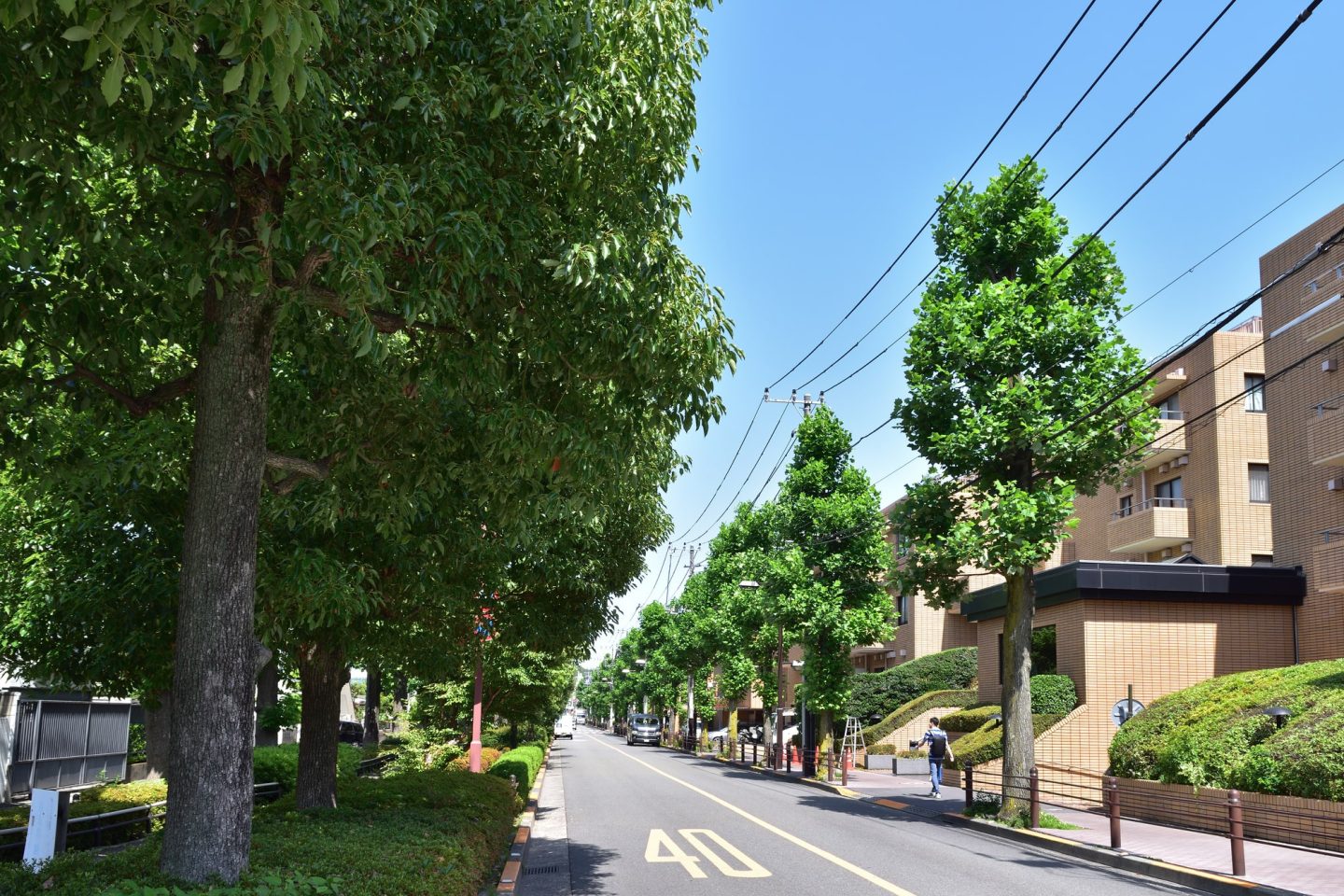 東京都心部への抜群のアクセスと、静かな住宅街の環境を両立させるなら経堂がおすすめ