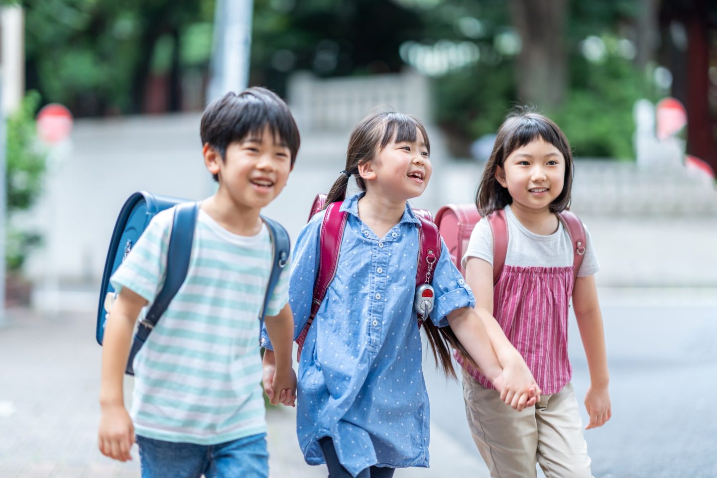 笹塚駅周辺の保育園、幼稚園、小中学校