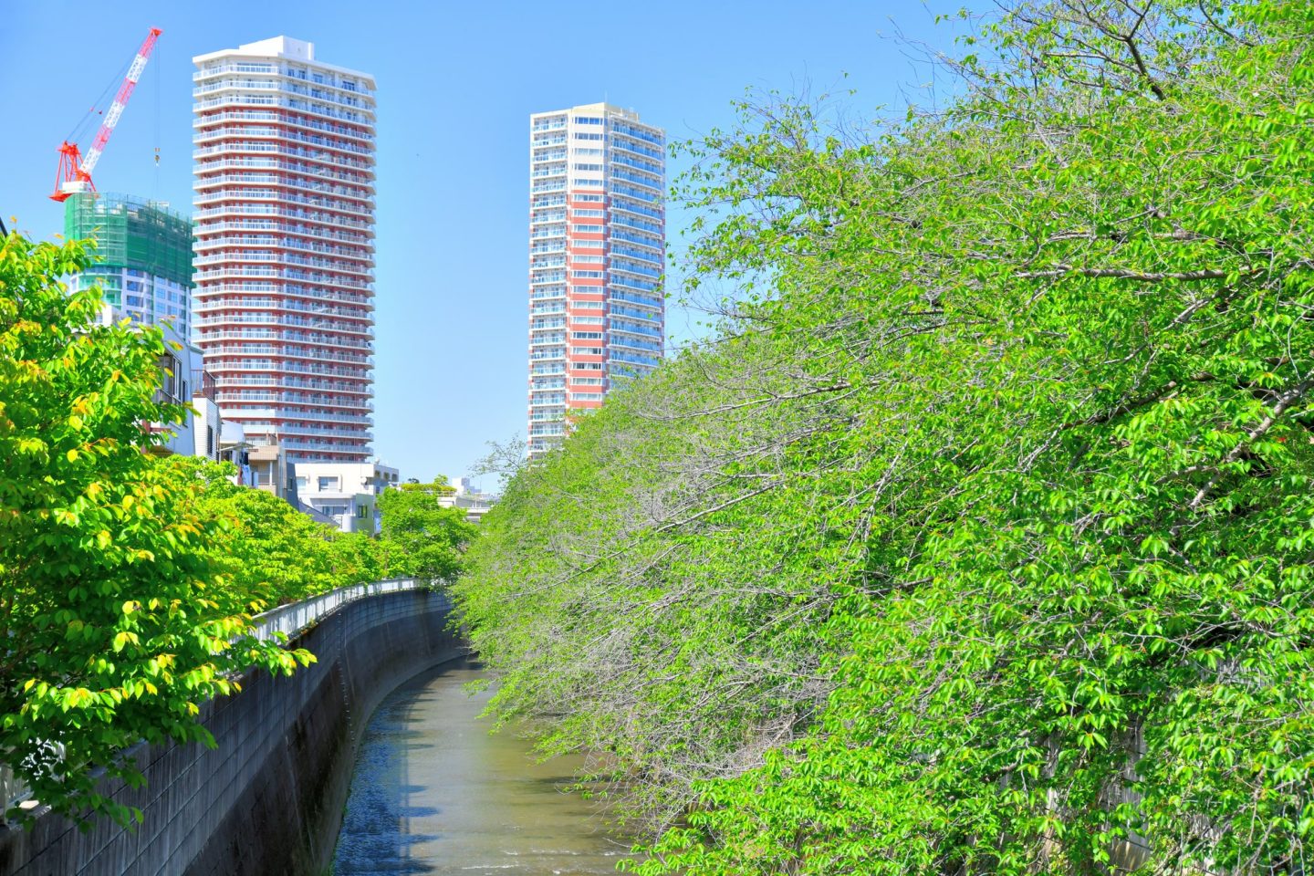 東中野駅周辺の物件相場