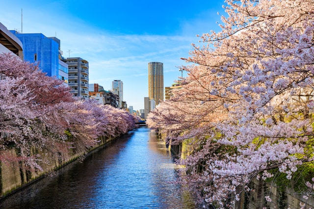 交通利便性と安心の住環境が共存する目黒区で、家族の未来を築こう！