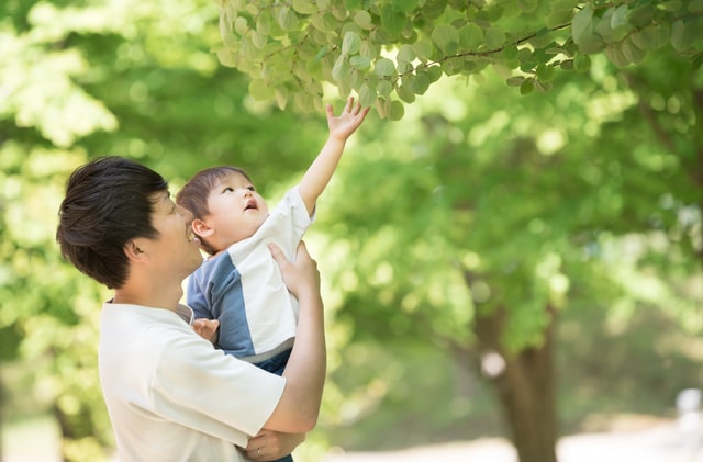 中野区の子育て支援事情