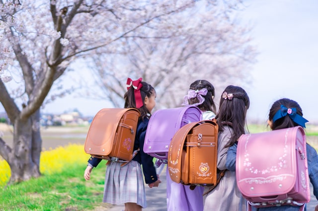 江戸川区の学校紹介
