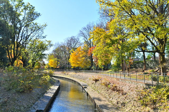 杉並区ってどういう街?
